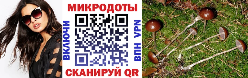 наркота  Омск  Псилоцибиновые грибы MAGIC MUSHROOMS 